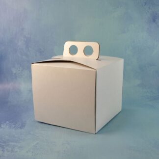 CAJA DE MINI TORTA