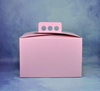 CAJA PARA TORTA DE CARTULINA 20CM - Image 2