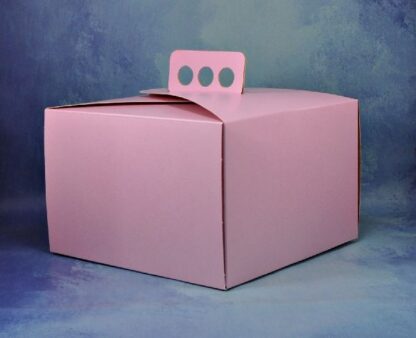 CAJA PARA TORTA DE CARTULINA 20CM - Image 3