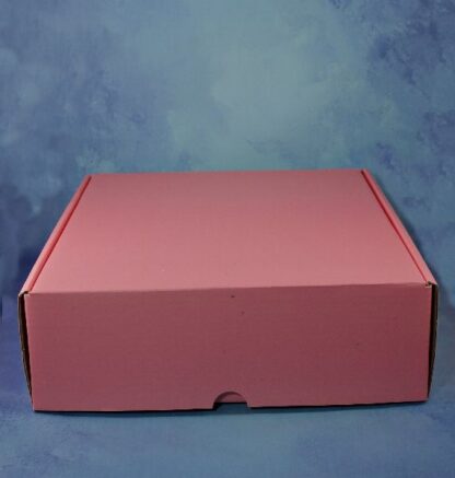 CAJA COFRE ROSA 35X28X9