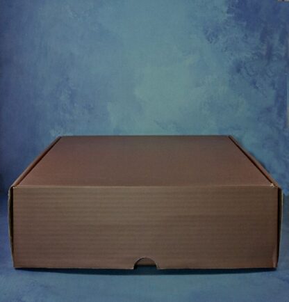 CAJA COFRE DORADO 35X28X9