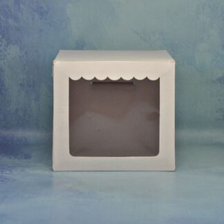 ESTUCHE PARA TAZON CON VISOR