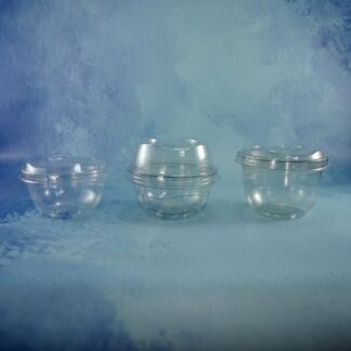 ENVASES MINI TRANSPARENTES