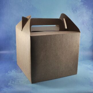 CAJA MALETIN TAKE AWAY