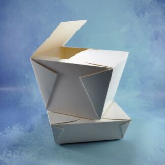 POTE WOK PASTAS HELADO