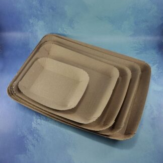 BANDEJA CARTON AZZURRY