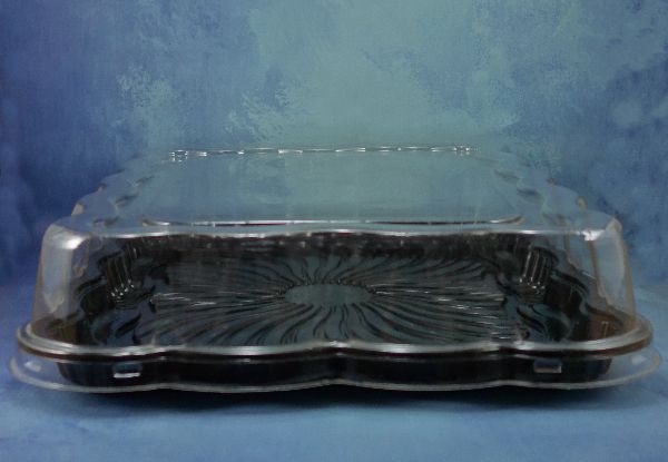 TORTERA RECTAN. GRANDE TAPA BAJA GALVANOTEK - Imagen 2
