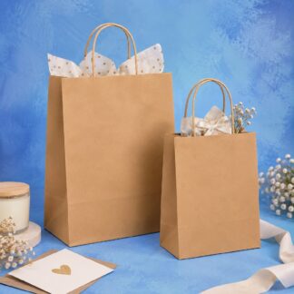 BOLSAS DE PAPEL CON MANIJA